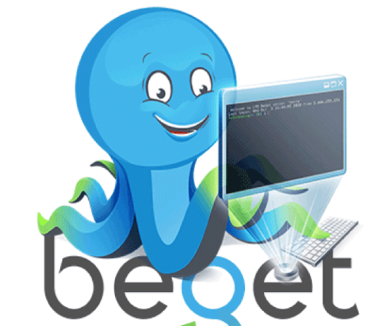 Компания Бегет — особенности и спектр услуг