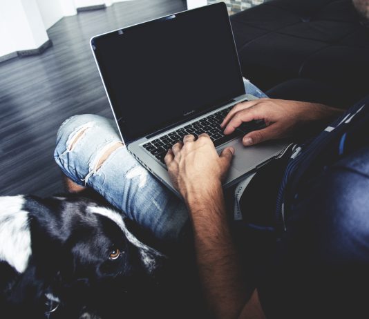 На что обращают внимание, приобретая HTML конвертер